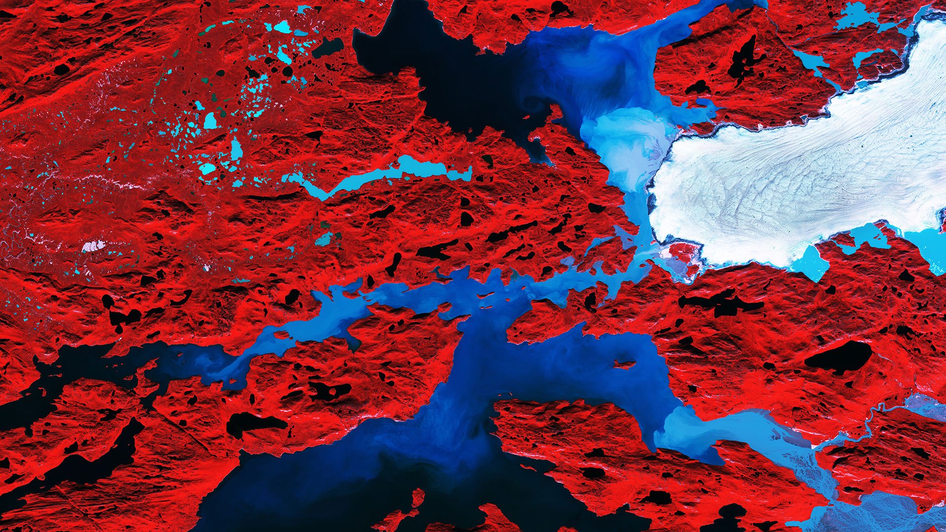 Study WP5.1 - Machine Learning to Advance Climate Model Evaluation and Process Understanding