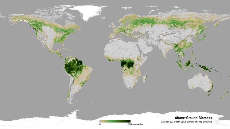 This global map, generated by ESA’s Climate Change Initiative Biomass project, illustrates the distribution and density of above-ground biomass for the year 2022. Copyright: ESA CCI/Planetary Visions